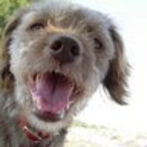 Meet your Posher, Eugenia